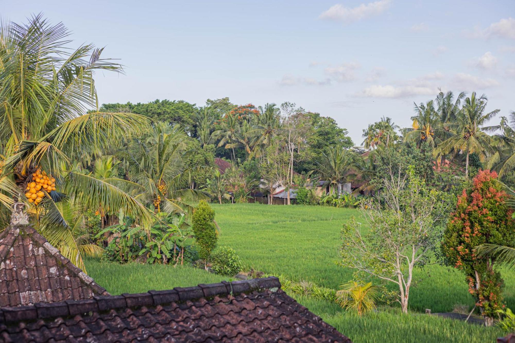 Sari Bamboo Bungalows Ubud  Bilik gambar